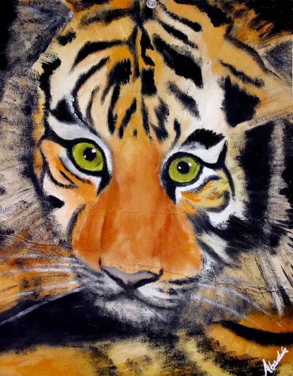 Tigre